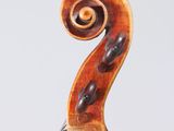 a close up of the back of a violin with a long tail