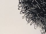 a black and white drawing of a plant on a white paper