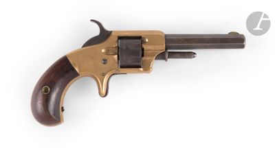 a colt colt colt colt colt colt colt colt colt colt colt colt colt colt colt colt colt colt colt colt colt colt colt colt colt colt colt colt colt colt colt colt colt colt colt