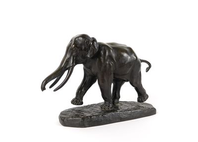 statue d'un éléphant avec des défenses sur fond blanc