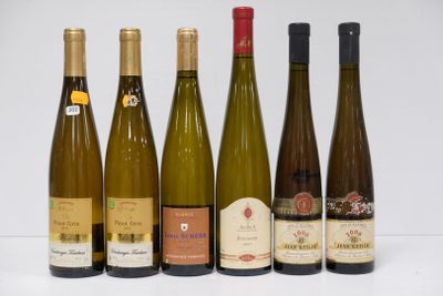2 50 Cl - GEWURZTRAMINER SELECTION DE GRAINS NOBLES - Domain…