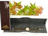 an image of a watch in a box with a plant in the background