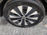 a cat sitting on the tire of a car