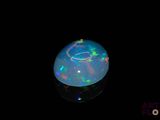 an oplite in the dark with a black background