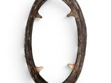 an oval shaped antelope with horns mounted on a white wall