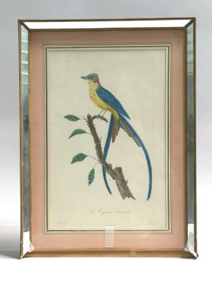 tableau représentant un oiseau bleu et jaune perché sur une branche d'arbre