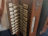 a brown accordion sitting on a blue table