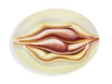 a plate with a painting of a lip on it