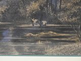 a picture of a picture of a cow in the water