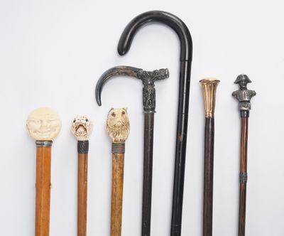 Lot de 7 cannes dont canne à systèmes : une Janus aux deux v…