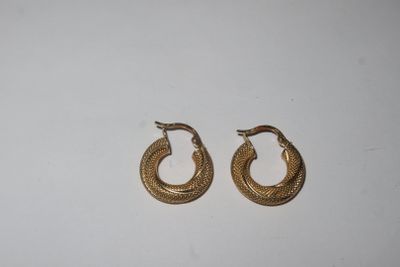 a pair of gold toned hoop earrings on a white surface