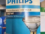 a person holding a box of philips incandescent light bulbs