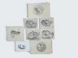 several drawings of various animals and birds on a white surface