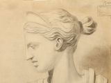 drawing of a woman ' s head in profile with her hair in a bun