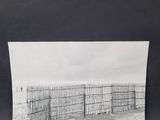 black and white photograph of a fence on a beach next to a body of water