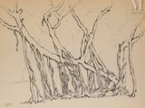 une image représentant un dessin d'un groupe d'arbres dans une forêt