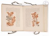 an open book with a drawing of a bird on it