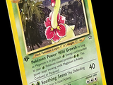 une image d'une carte Pokémon sur laquelle figure un canard