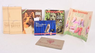 de nombreux livres exposés sur une surface blanche