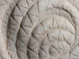 a close up of a stone sculpture with a circular design