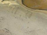 a close up of a silver plate with a bird on it