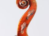 a close up of a violin with a long neck and a long tail