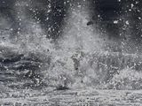 une photo en noir et blanc d'un homme faisant du surf dans l'océan