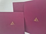 two harry potter notebooks with gold foil on them