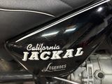 a close up of a motorcycle with the name jackal on it