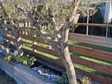 a small tree in a wooden planter next to a fence