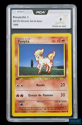 une image représentant une carte Pokémon sur laquelle figure un poney