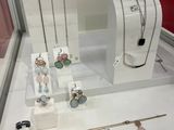 a display case with jewelry on it in a glass case