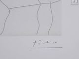 an image of a drawing of a horse drawn on a piece of paper