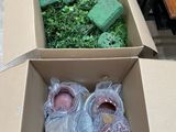 deux boîtes de chaussures pour bébé posées au milieu d'une table