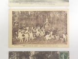 trois vieilles photos en noir et blanc représentant des chevaux et des personnes dans les bois