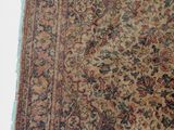 a cat that is laying on a rug on the floor