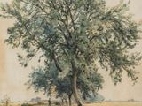 une image d'une peinture représentant un arbre dans un champ
