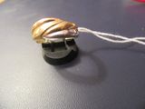 a gold ring with a shell on top of it