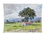 aquarelle représentant un arbre dans un champ, avec une maison en arrière-plan