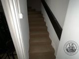 a cat that is walking down the stairs in the house