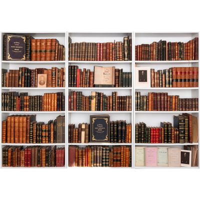de nombreux livres qui se trouvent sur les étagères de la pièce