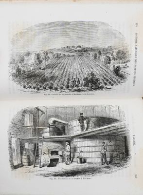 un livre ouvert comportant deux illustrations représentant une ferme et une ferme