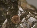 a coin sitting on top of a rock on a table