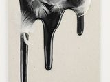 an image of a black and white painting with feathers on it