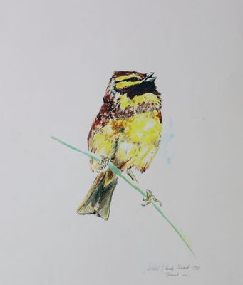 dessin représentant un oiseau perché sur une branche, sur fond blanc