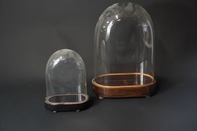 un dôme en verre avec un socle en bois et un dôme en verre avec un socle en bois sur fond noir