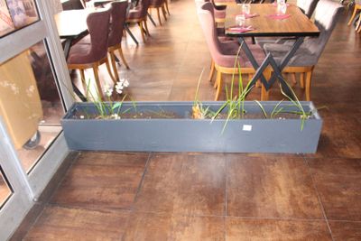 une jardinière posée au milieu de la salle d'un restaurant