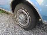 a close up of a car tire on a gravel road