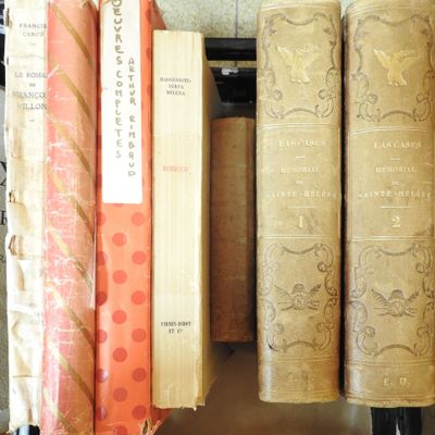 de nombreux livres qui se trouvent sur une étagère dans la pièce
