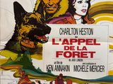 une image représentant une affiche de film sur laquelle figurent un homme et une femme dans un train